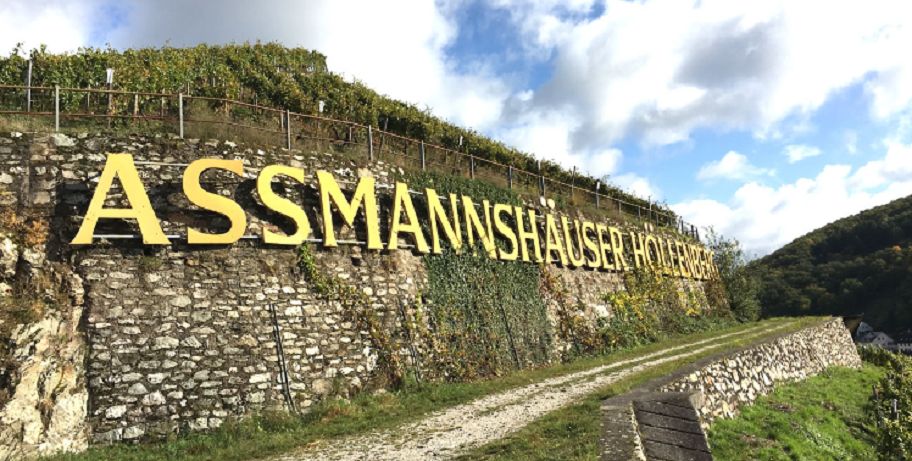 Einzellage Höllenberg in Assmannshausen im Rheingau