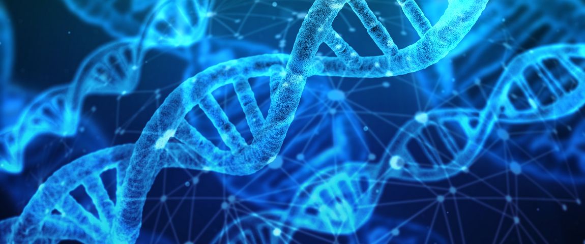 Molekulargenetik - DNA-Stränge