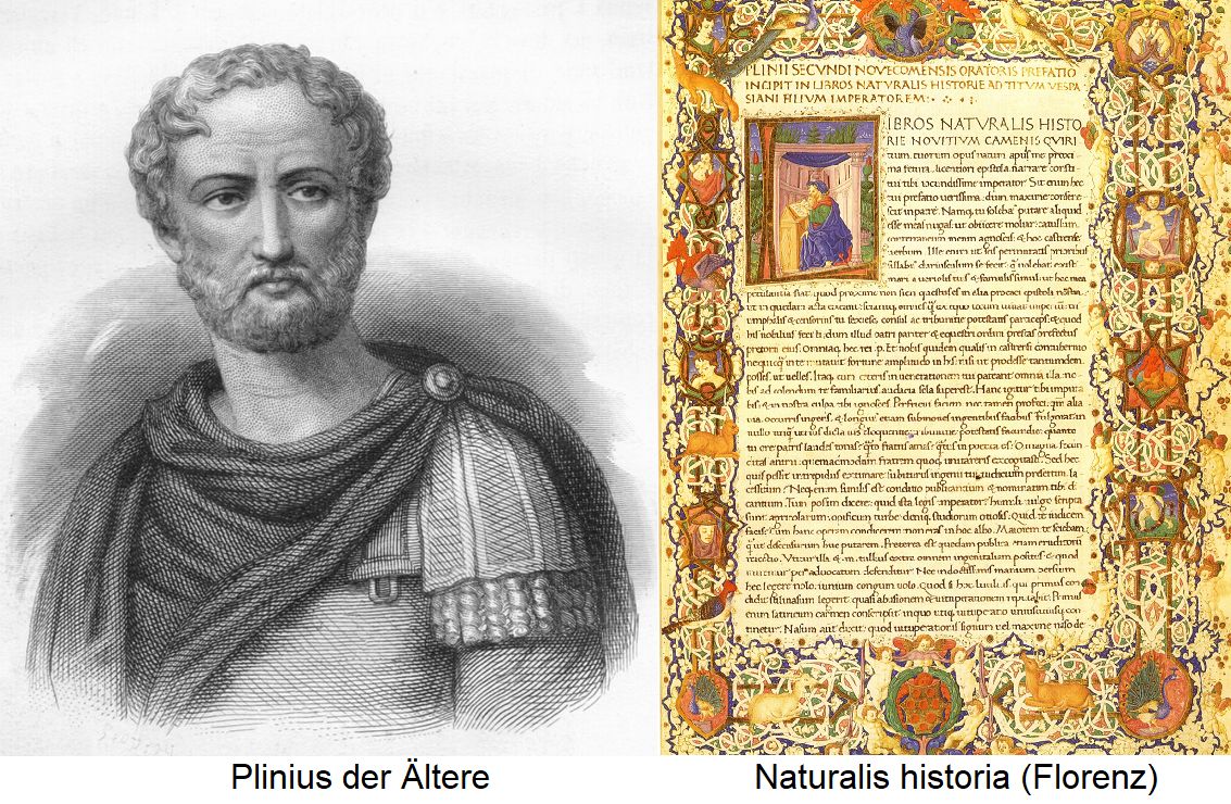 Plinius - Plinius der Ältere  und Naturalis historia (Florenz)