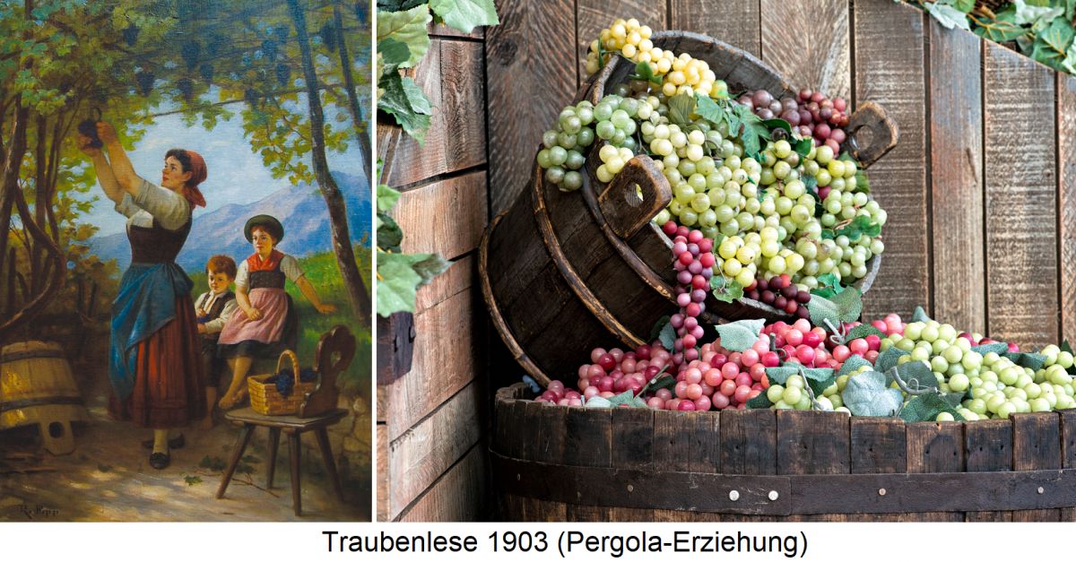 Weinlese - Traubenlese 1903 (Rudolf Epp) und Bottich mit Weintrauben