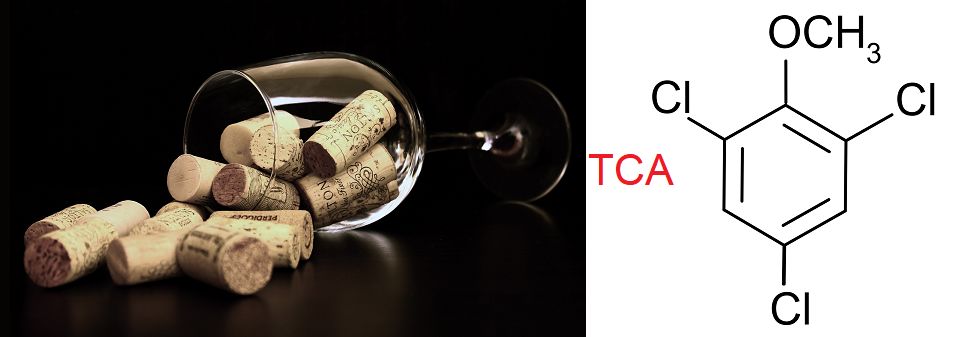 Korkschmecker - Glas mit Korken und TCA-Molekül