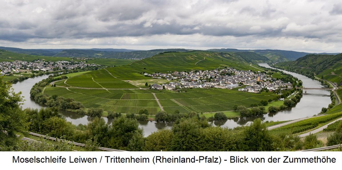 Bodentyp - Moselschleife Leiwen / Trittenheim - Blick von der Zummethöhe
