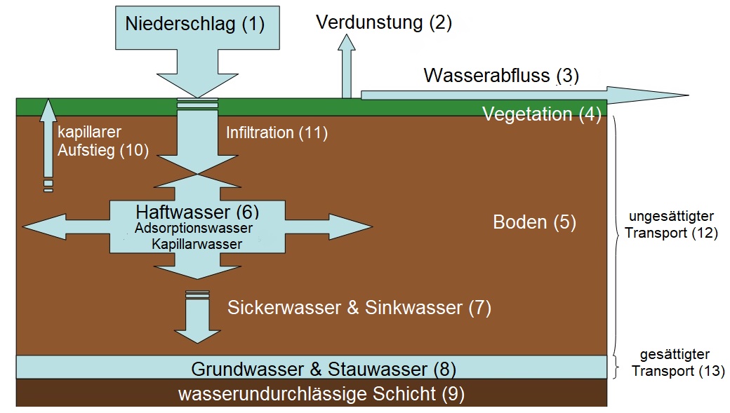 Bodenwasserkreislauf - Graphik
