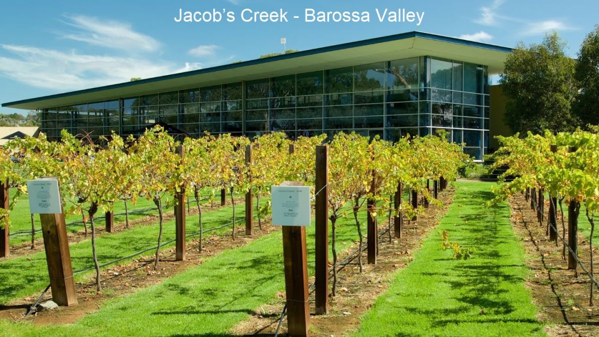 Jacob’s Creek - Bâtiment au milieu des vignes